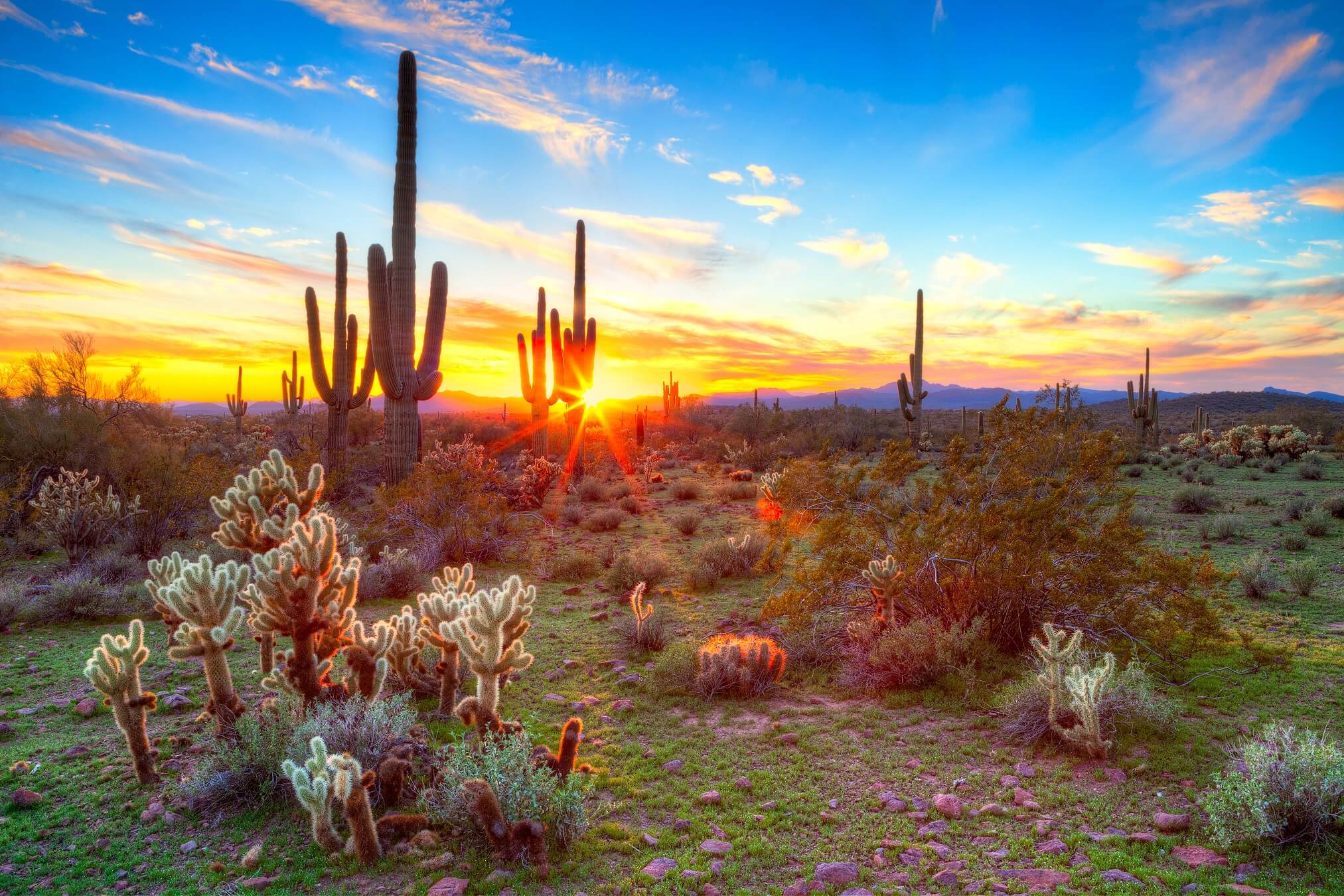 Pictures of Arizona don't get more beautiful than this colorful desert shot.