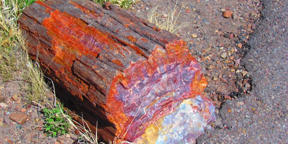 A red petrified log.