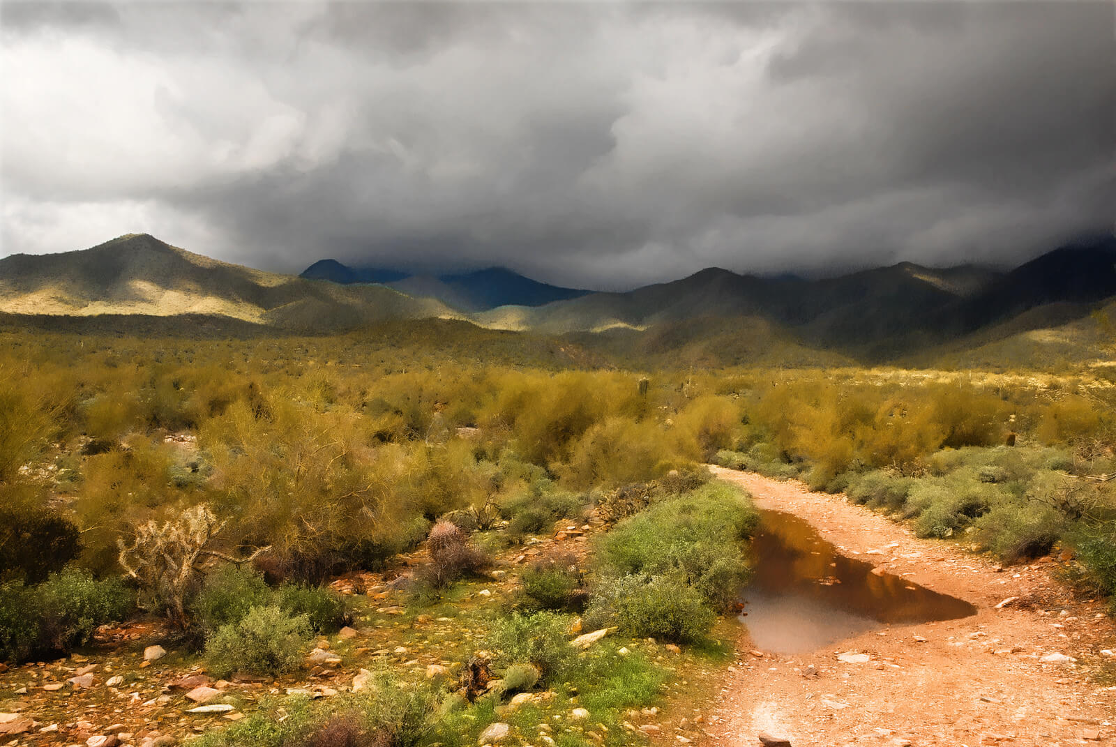 Monsoons bring thick rain clouds over the desert landscape. Flickr User Marc