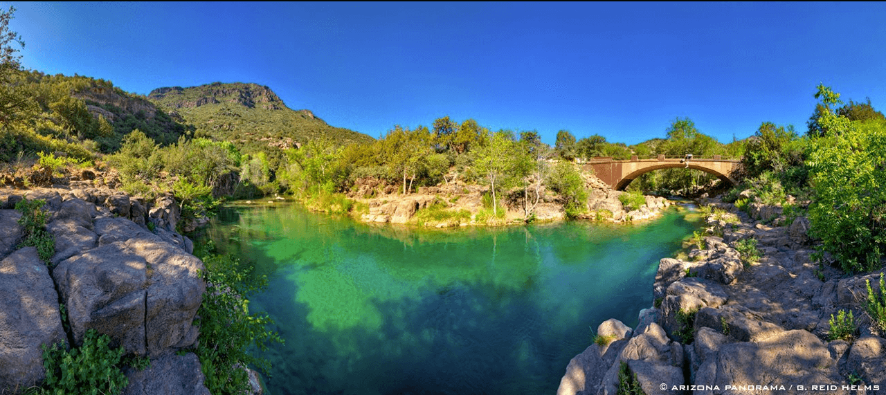 The green and blue waters of Reid Helms Fossil Creek.