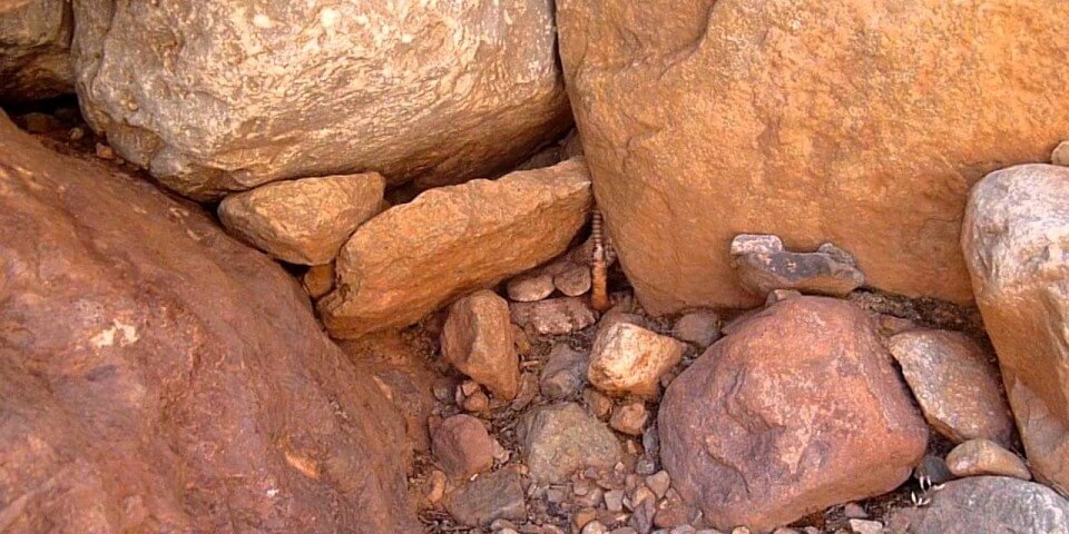 A pink rattlesnake hides in the rocks of the Grand Canyon.