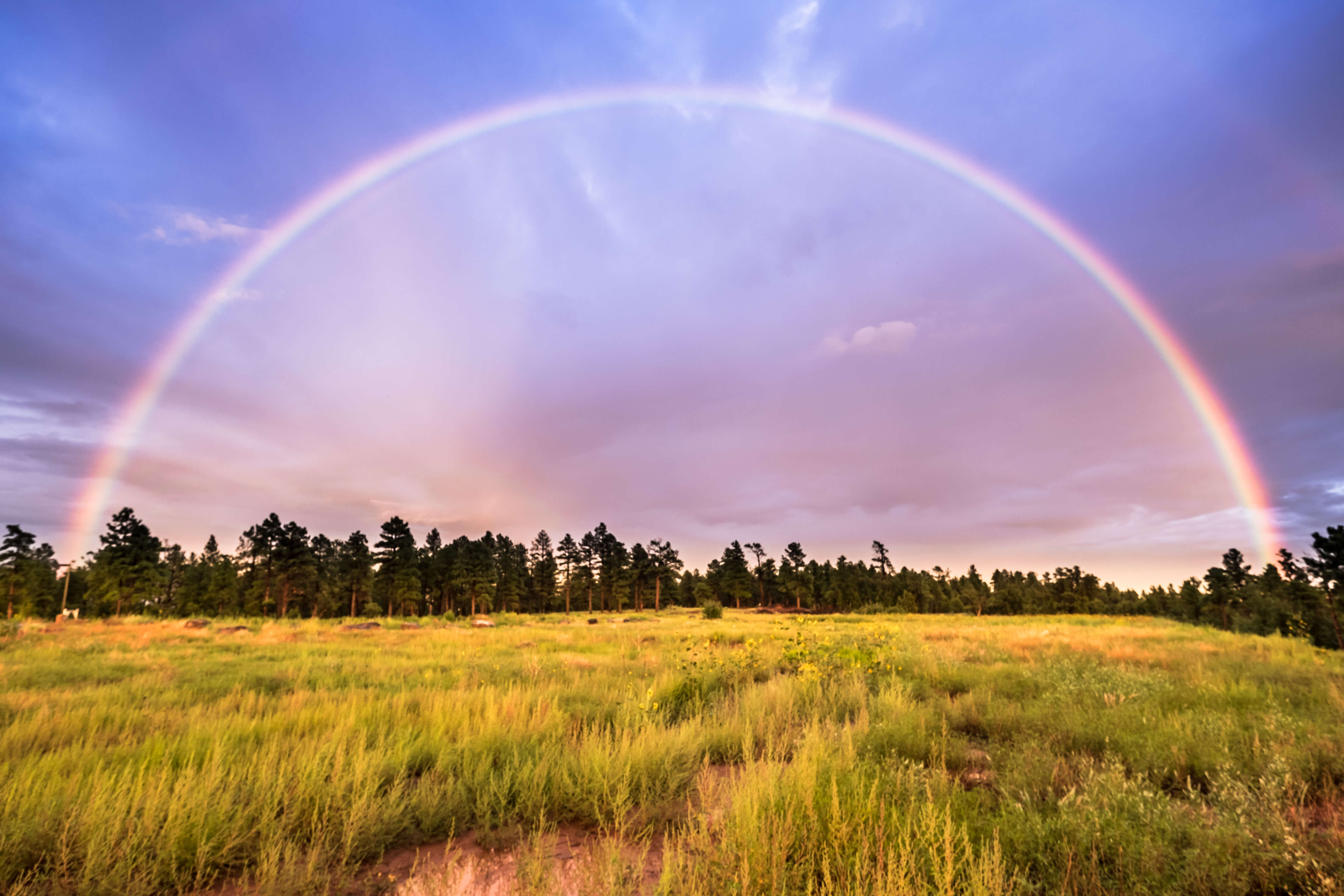 A perfect picture of a rainbows arch over a field in Flagstaff.
