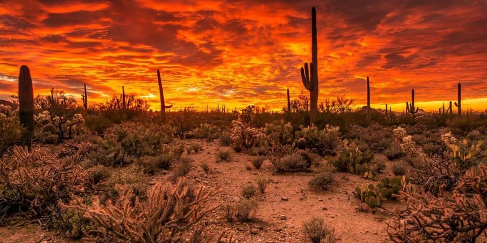 A fiery Arizona sky during sundown.