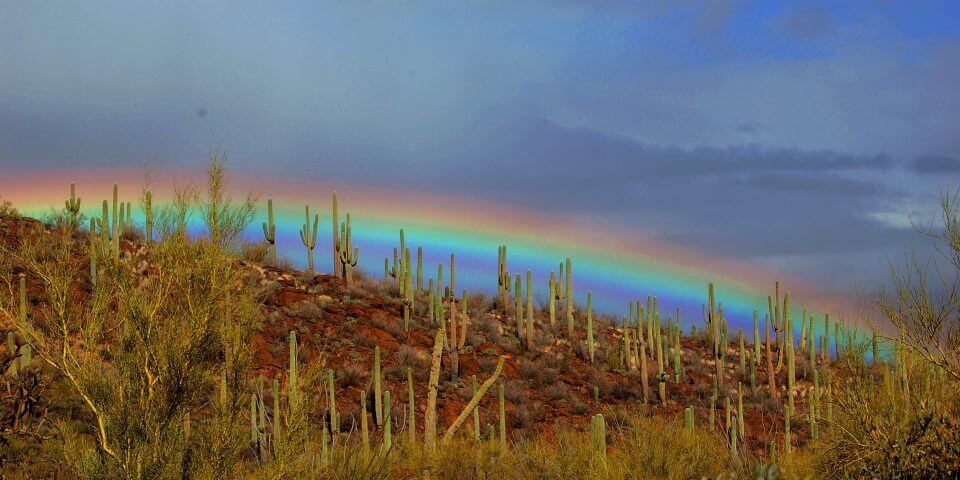 A rainbow along the Sonoran Desert horizon line.