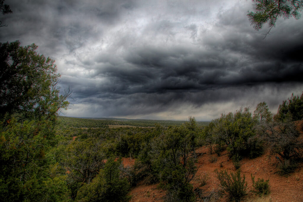 A rainstorm over desert brush. Flickr User Dan Sorensen