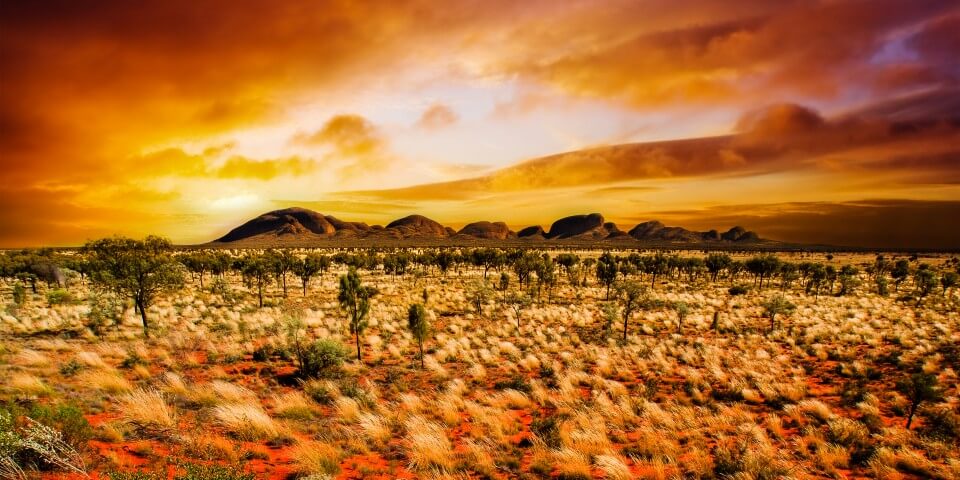 An Arizona desert landscape under a fiery sun.