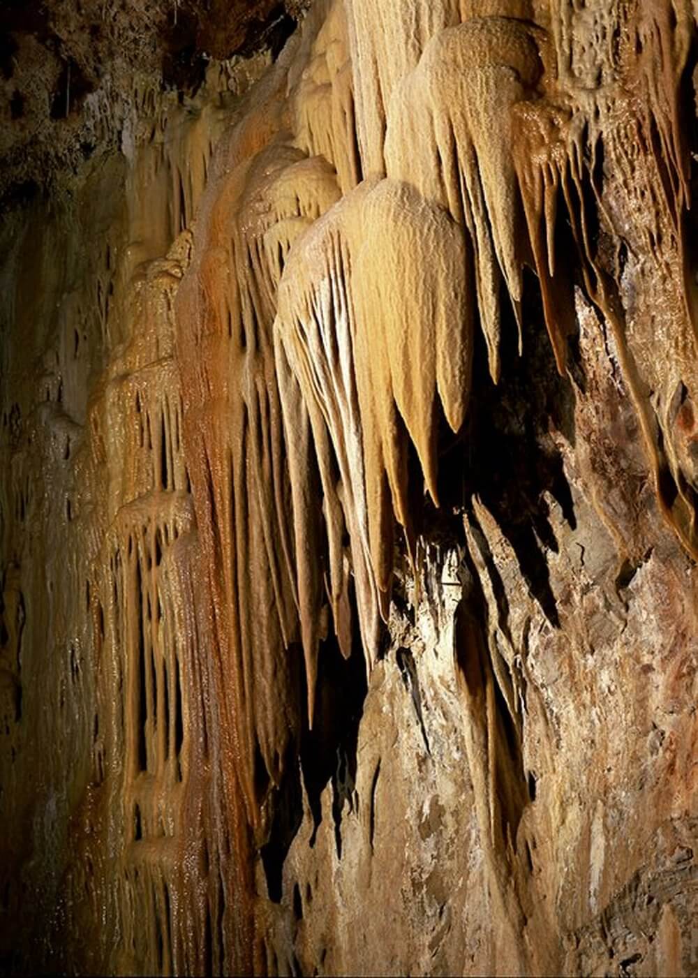 Large hanging speleothems hang down in the Kartchner Caverns.