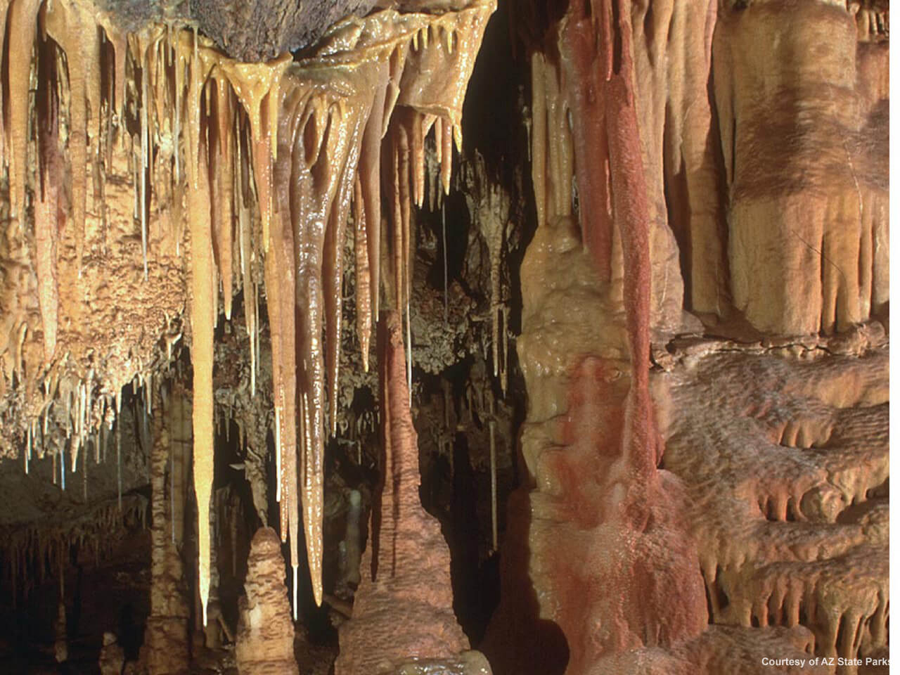 Stalactites inside the Kartchner Caverns.