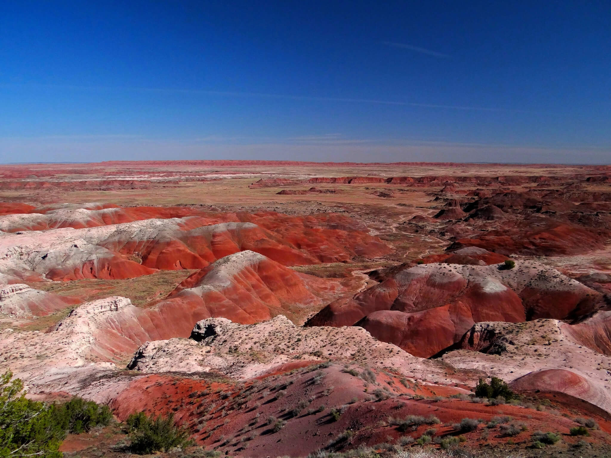 Aerial shot of the Painted Desert.