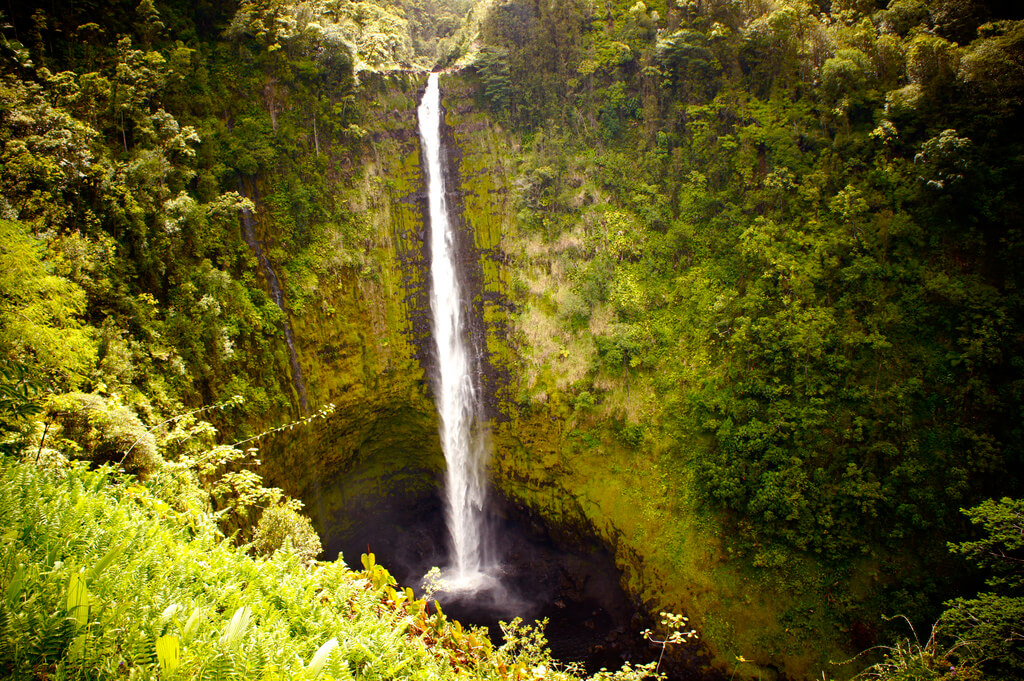 Akaka Falls in Hawaii.
Flickr User snapbaacktoreality