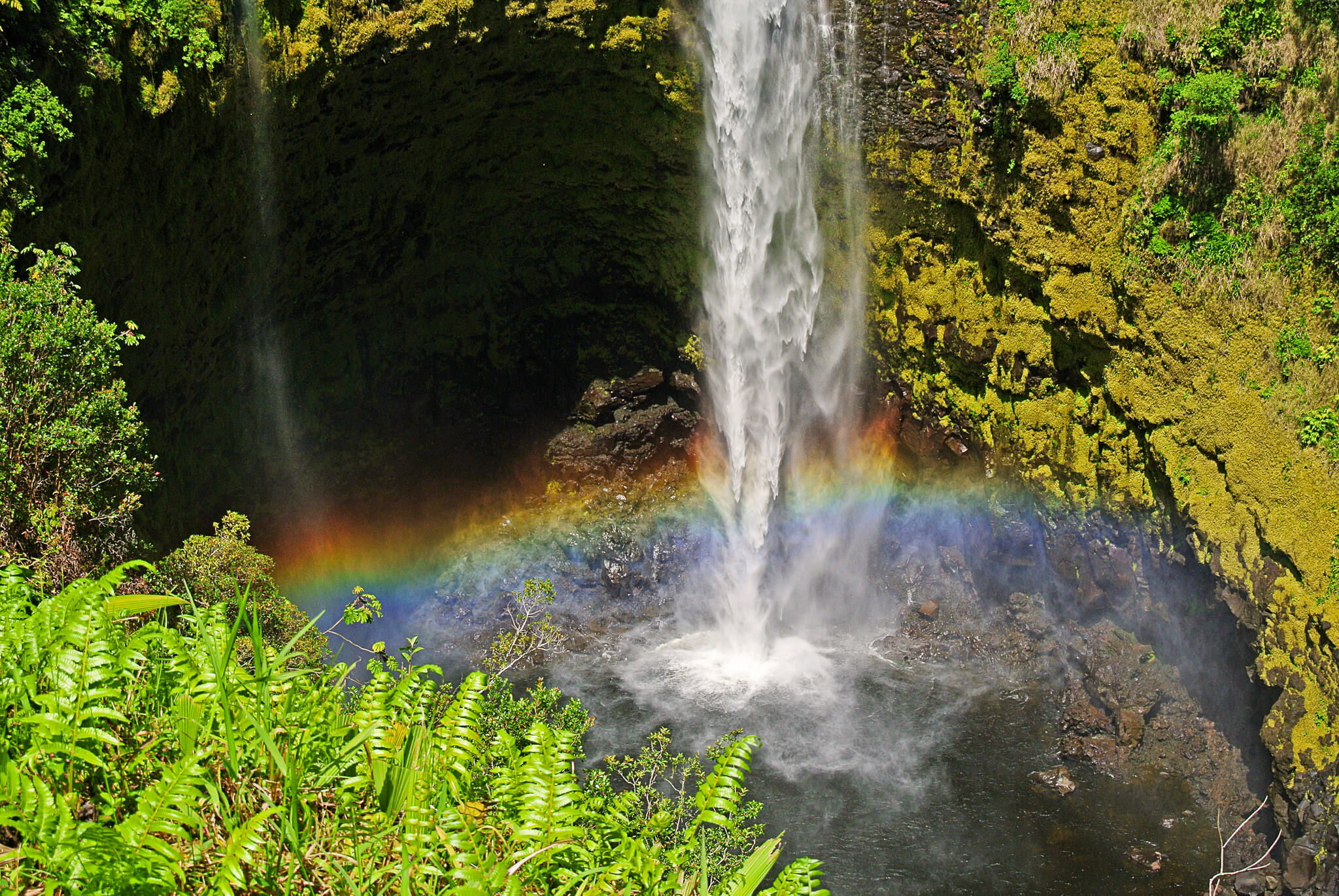 Akaka Falls in Hawaii.
Flickr User Rita Jo