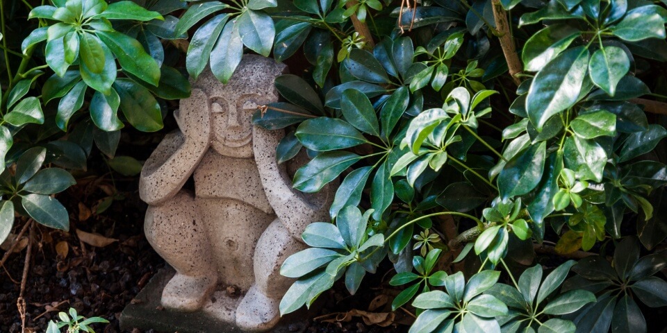 A Menehune statue hides behind leaves in Hawaii.