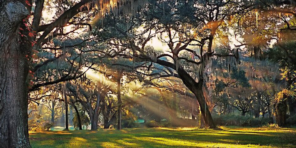 Greenwood Plantation in St. Francisville, Louisiana - Photo by Cary Jones Crawford