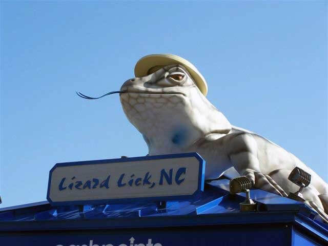 lizard-lick