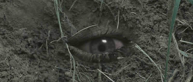 The Burrowers (2008)