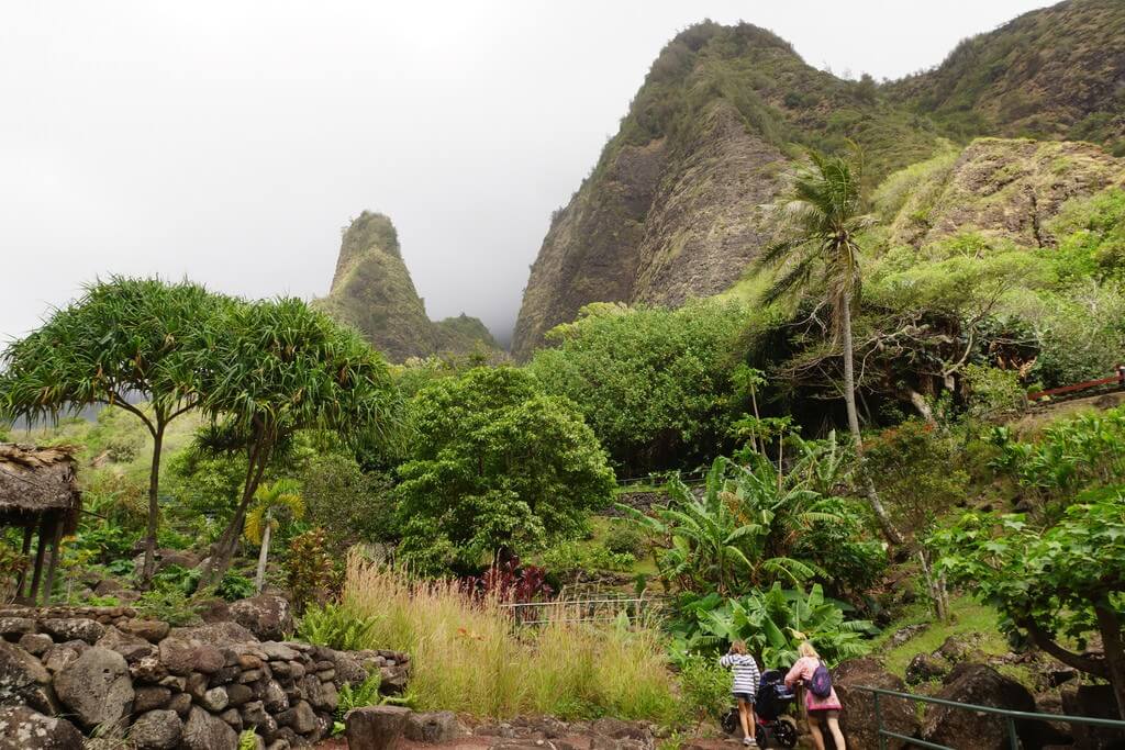 Needles mountain in Iao Valley State Park