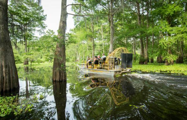 Louisiana Swamp Tour Airboat