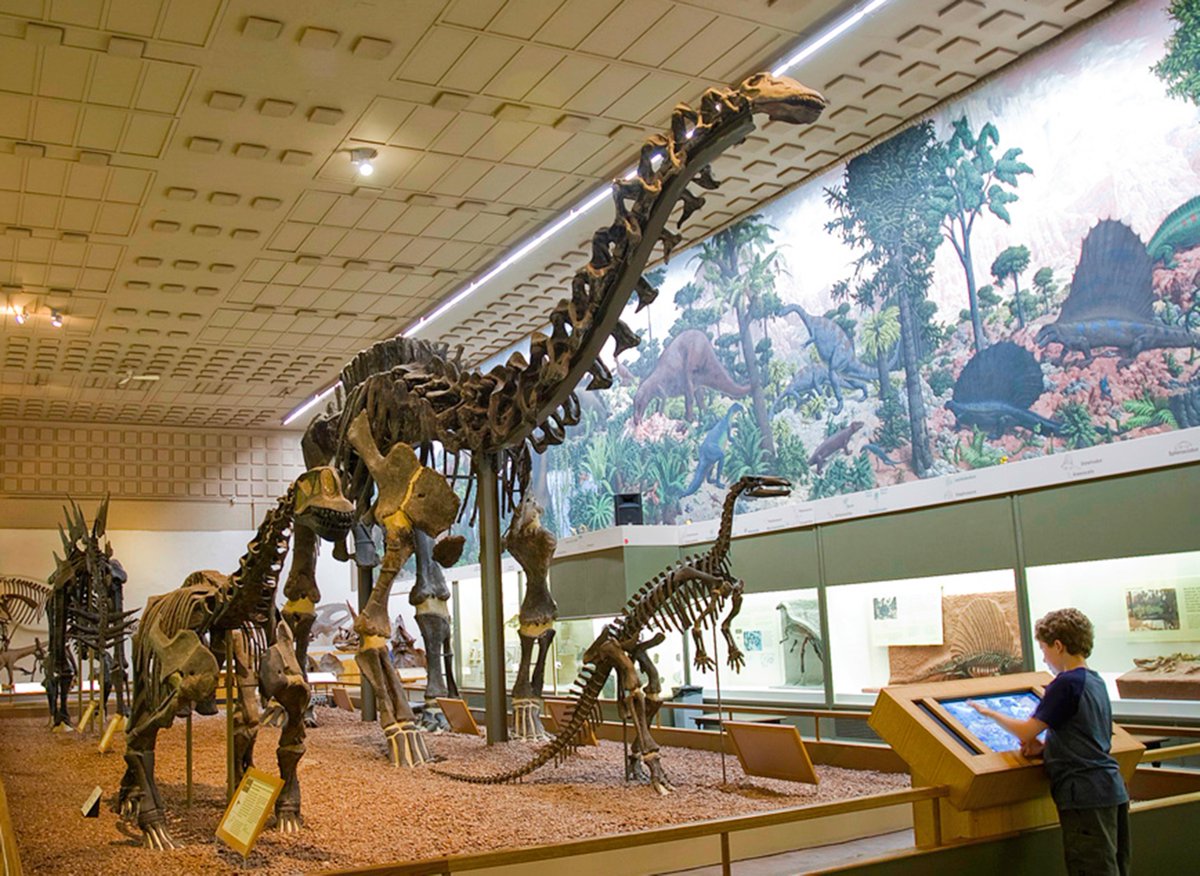 Peabody Museum of Natural History, Connecticut