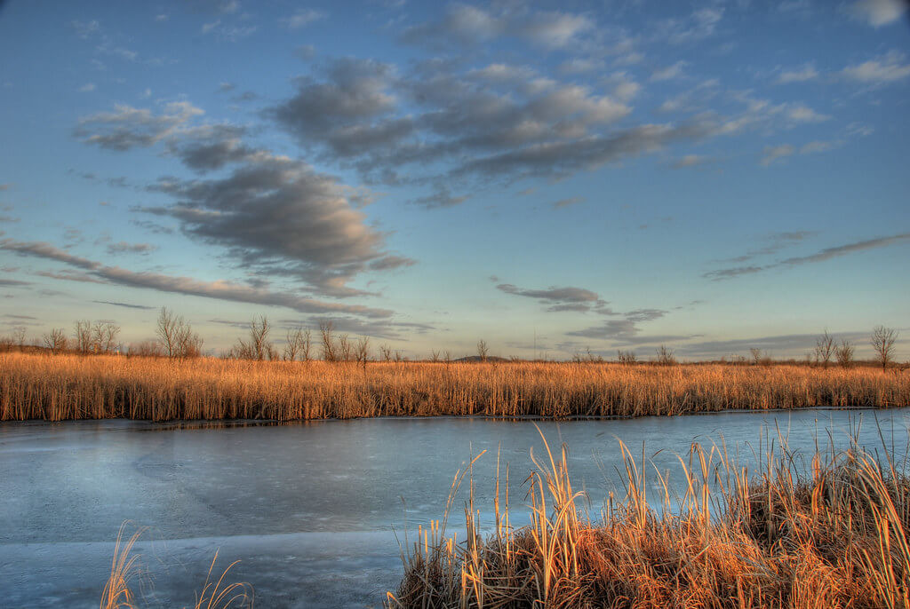 Baker Wetlands near Lawrence, Kansas