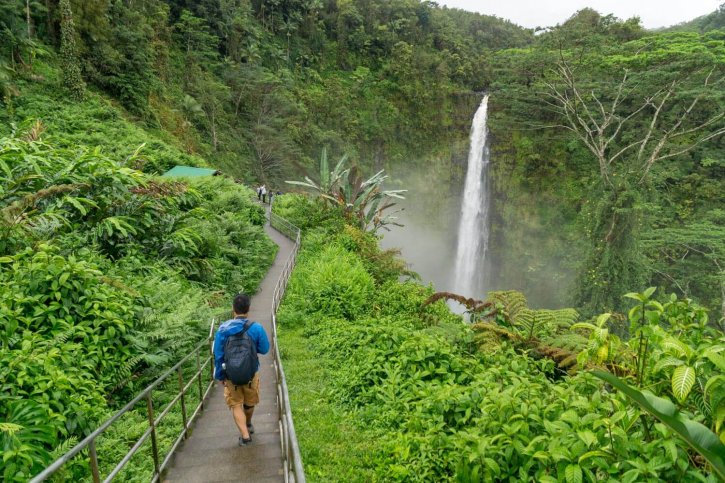 Akaka Falls Hawaii