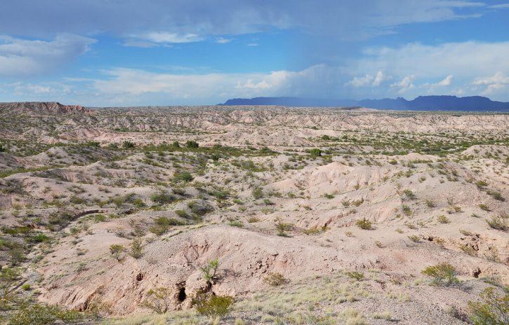 Chihuahuan Desert Arizona