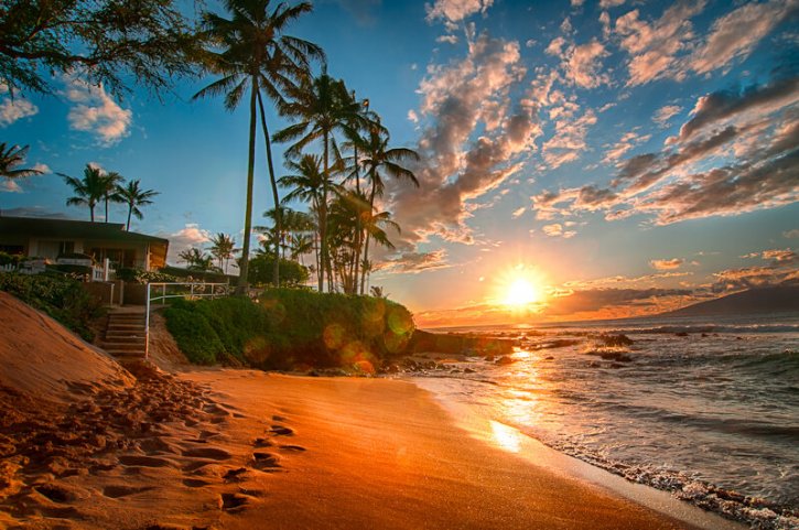 Hawaiian Summer