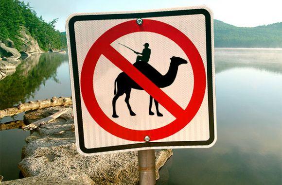 illegal to fish from camels back