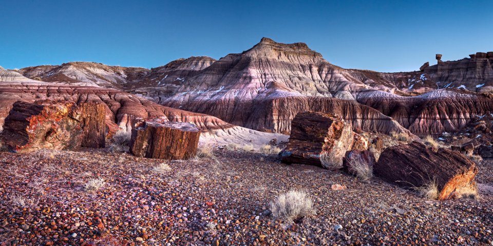 The Petrified Forest National Park is one of the national parks in Arizona still open during the coronavirus.