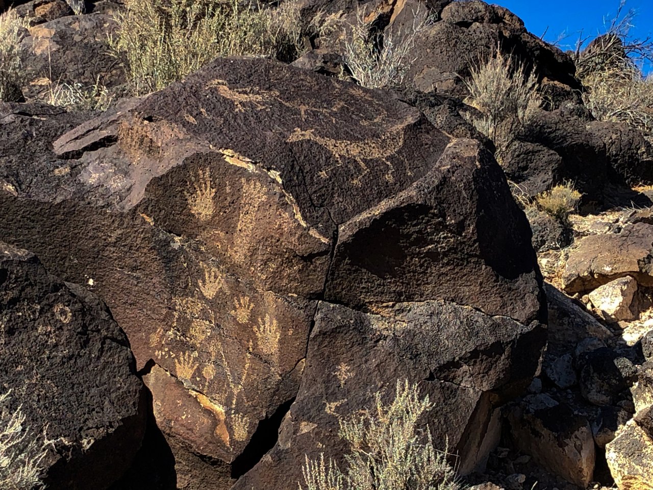 Petroglyph National Monument, New Mexico