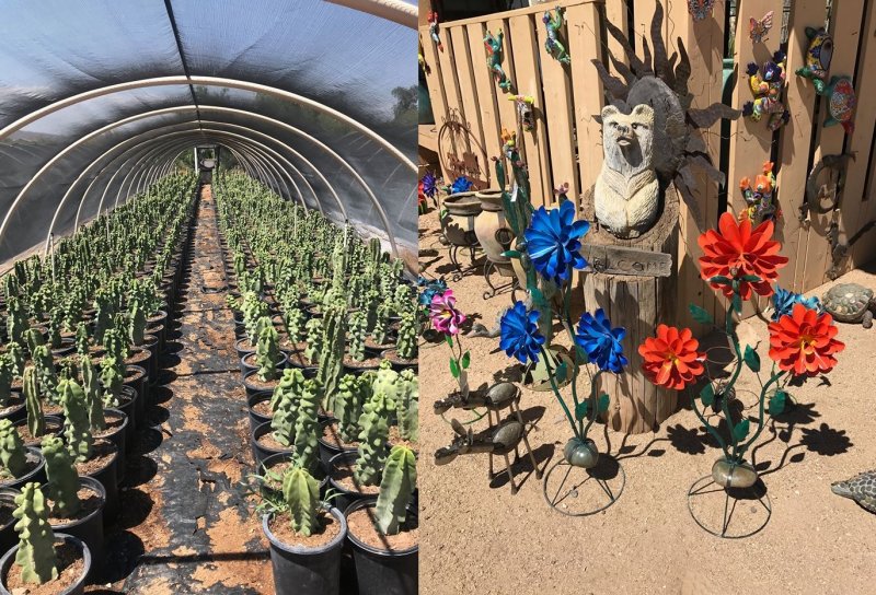 Greenhouse and Decor Cactus Farm