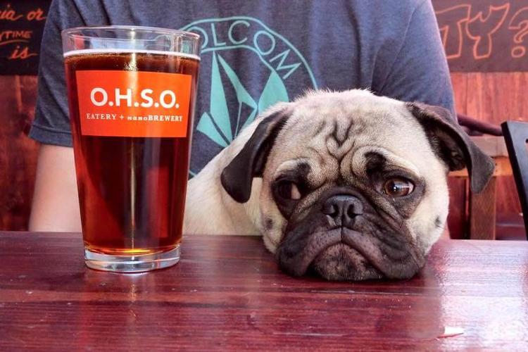 O.H.S.O Brewery Dog-Friendly Restaurants Arizona