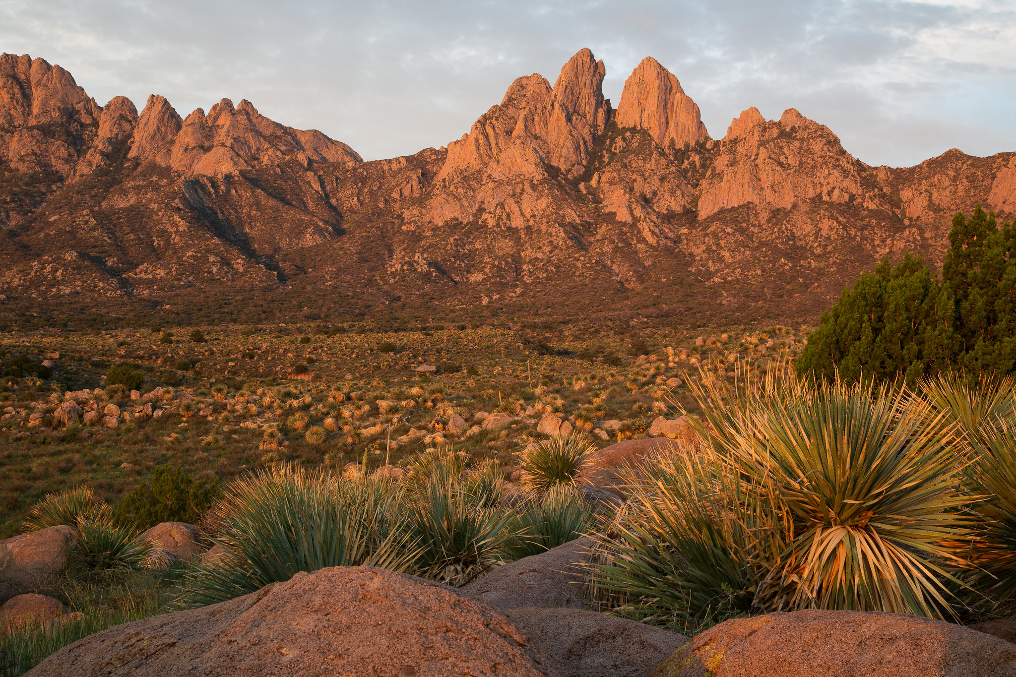 Sunset over the Organ Mountains near Las Cruces, New Mexico.