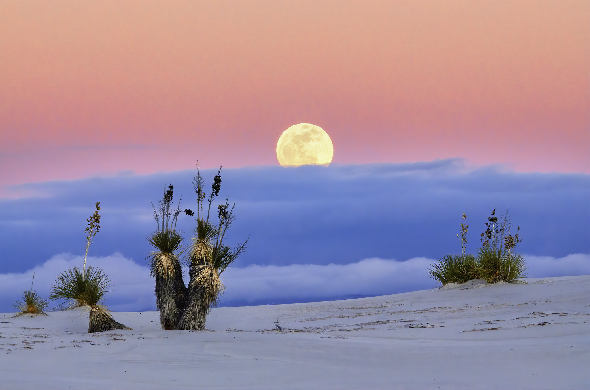 The moon rises above the White Sands National Monument in New Mexico with blue and pin pastel colored skies. 