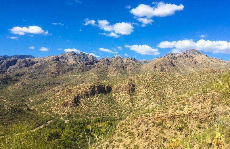Blackett's Ridge Trail Arizona Santa Catalina Mountains