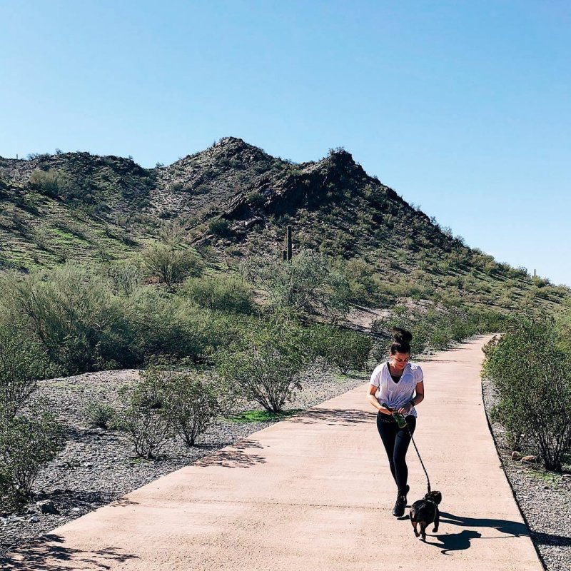 Dreamy Draw Loop AZ Pet-Friendly Hikes in Arizona