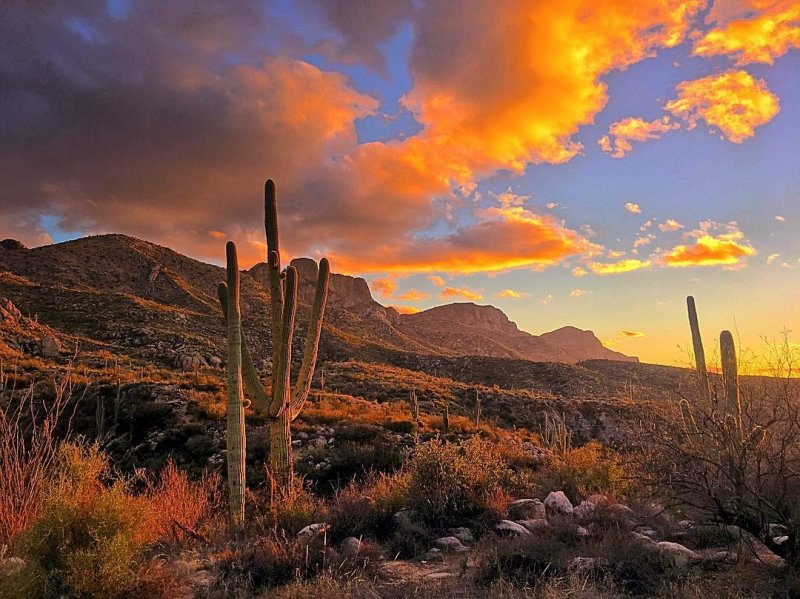 This Jaw-Dropping Mountain Range Takes You to the Highest Point in Tucson