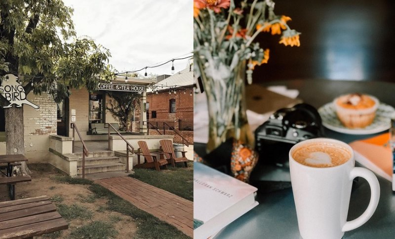 Songbird Coffee & Tea House Arizona