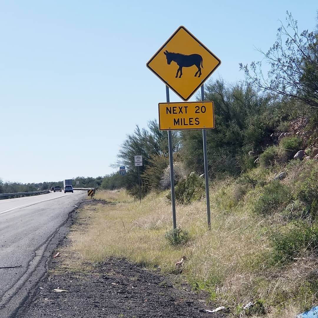 Donkey Crossing AZ
