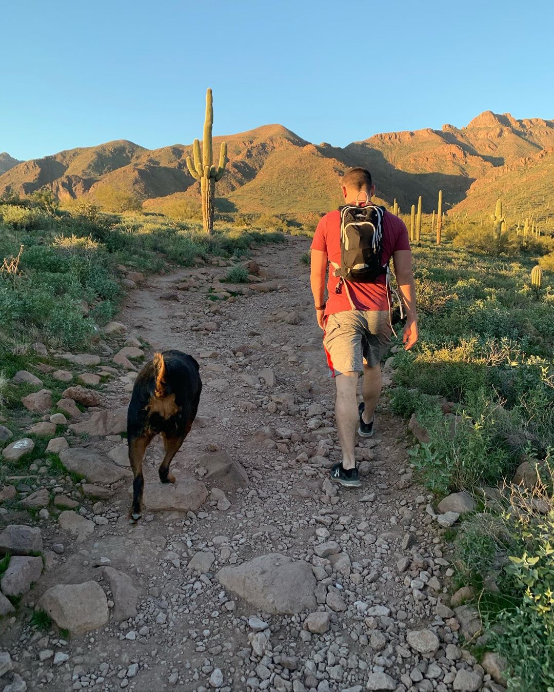 Hieroglyphic Trail dog friendly hikes in arizona