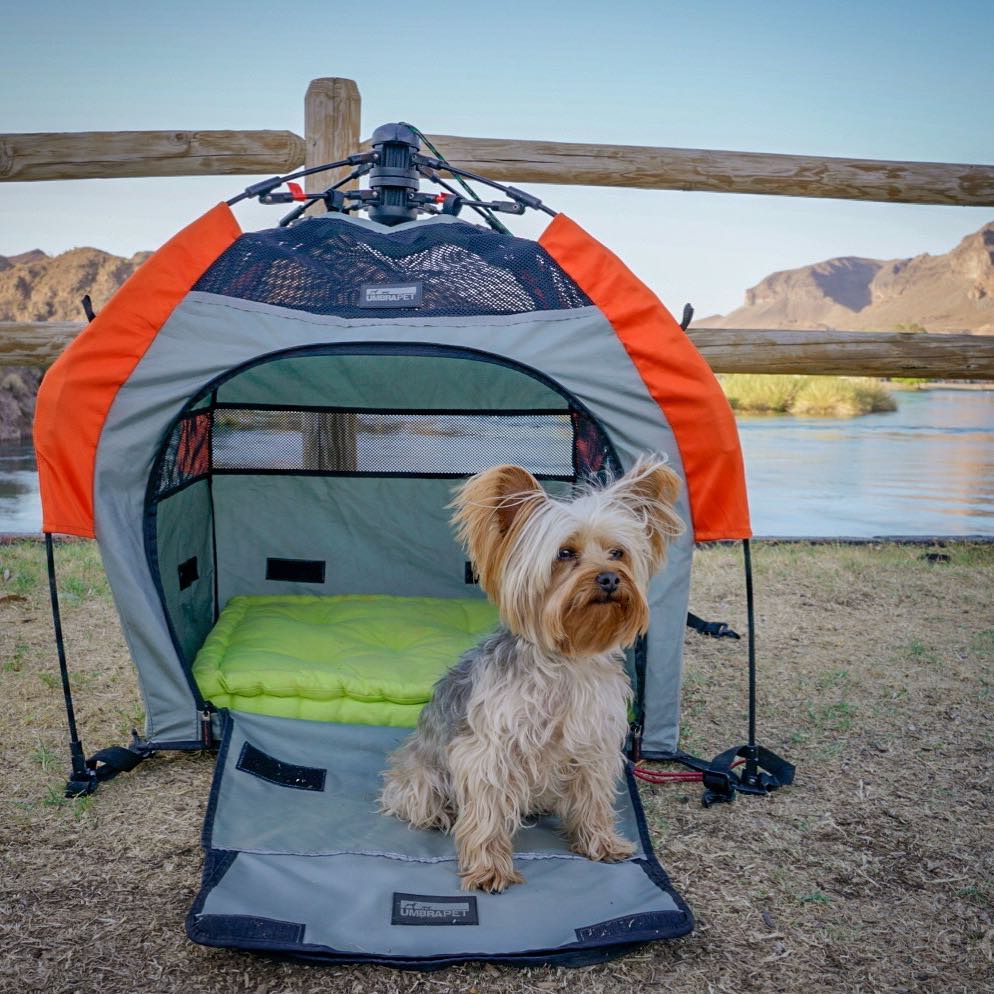 River Island State Park dog-friendly parks in arizona