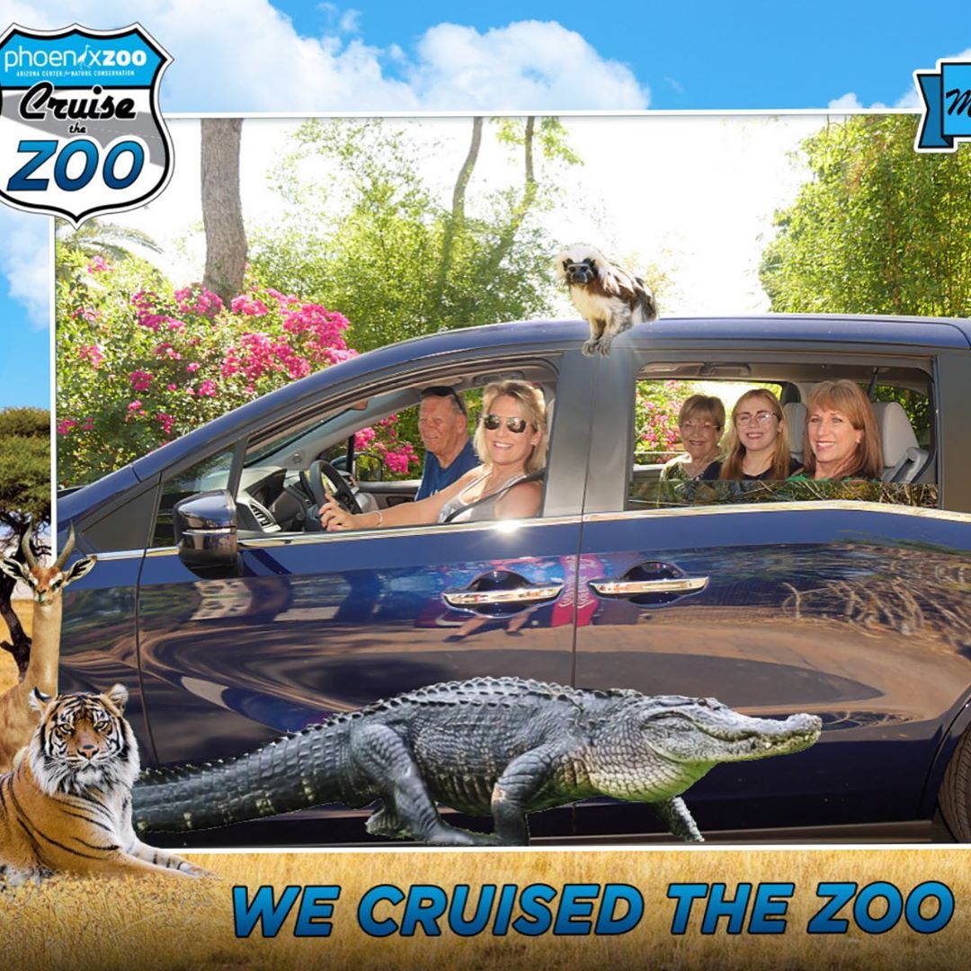 Cruise the Zoo Tour