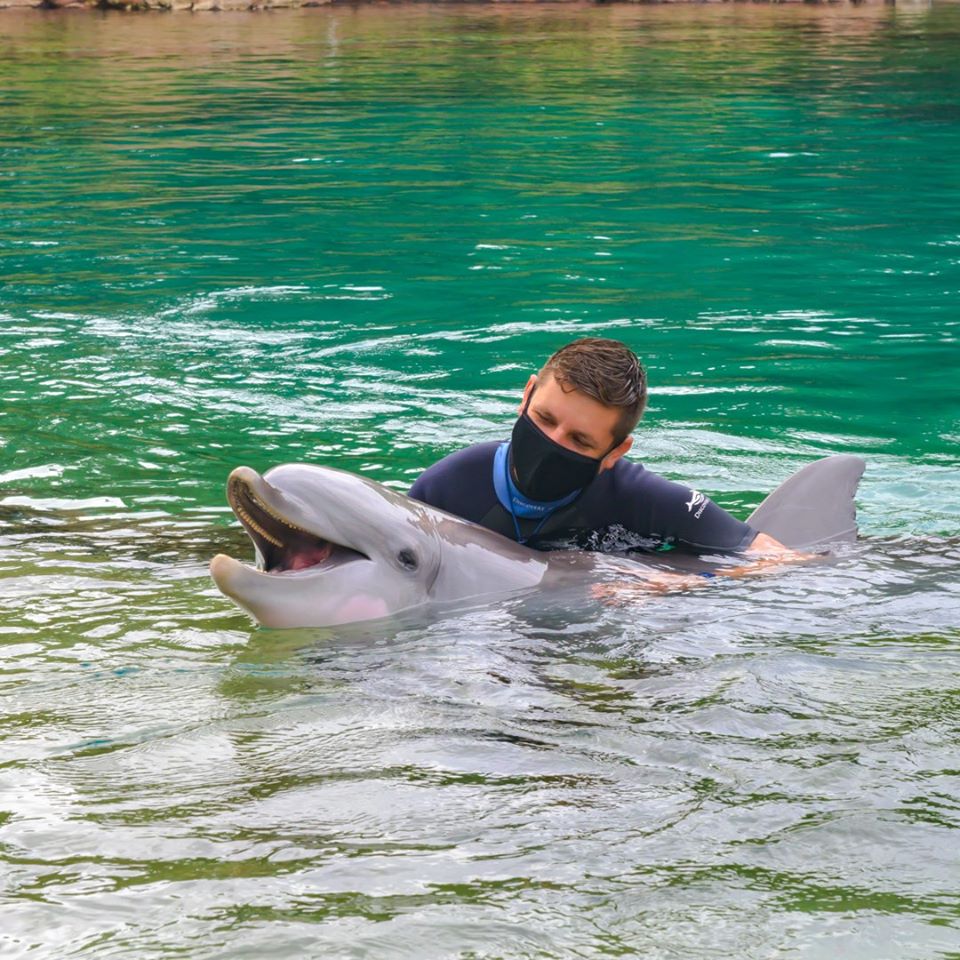 Discovery Cove best things to do in orlando fl