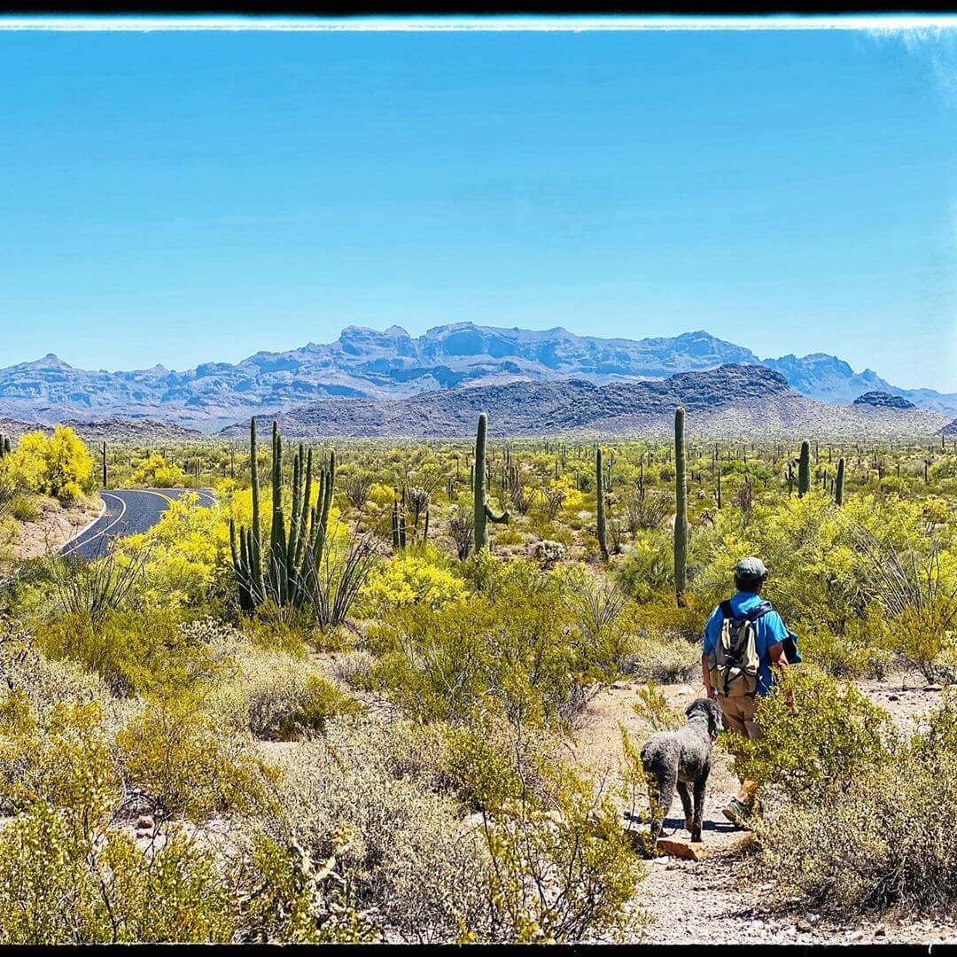 Hiking national monument in arizona