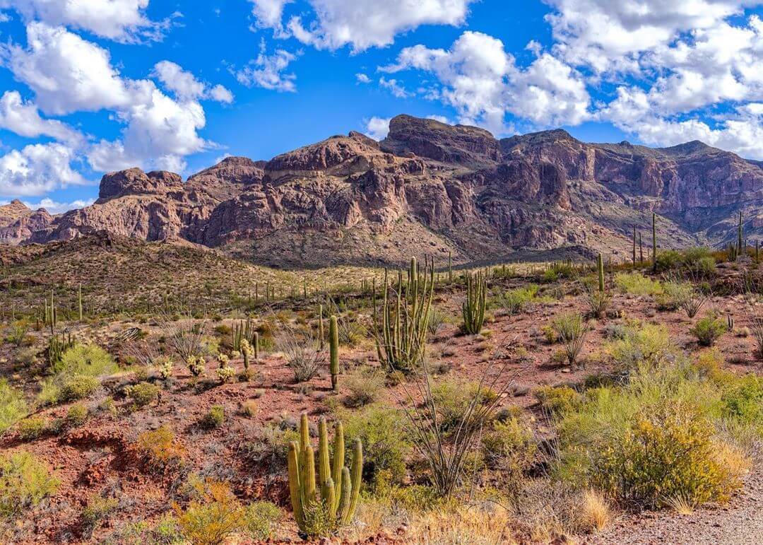 Organ Pipe Cactus National Monument arizona