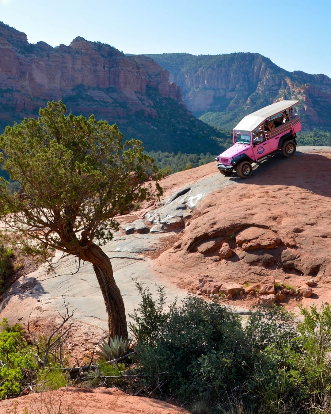 Pink Jeep Tour in Sedona