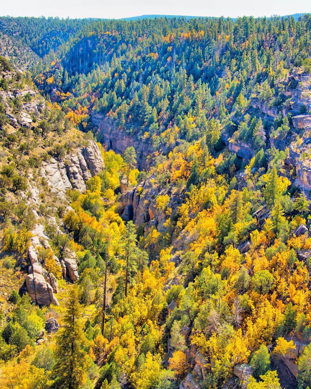 Walnut Canyon Flagstaff view