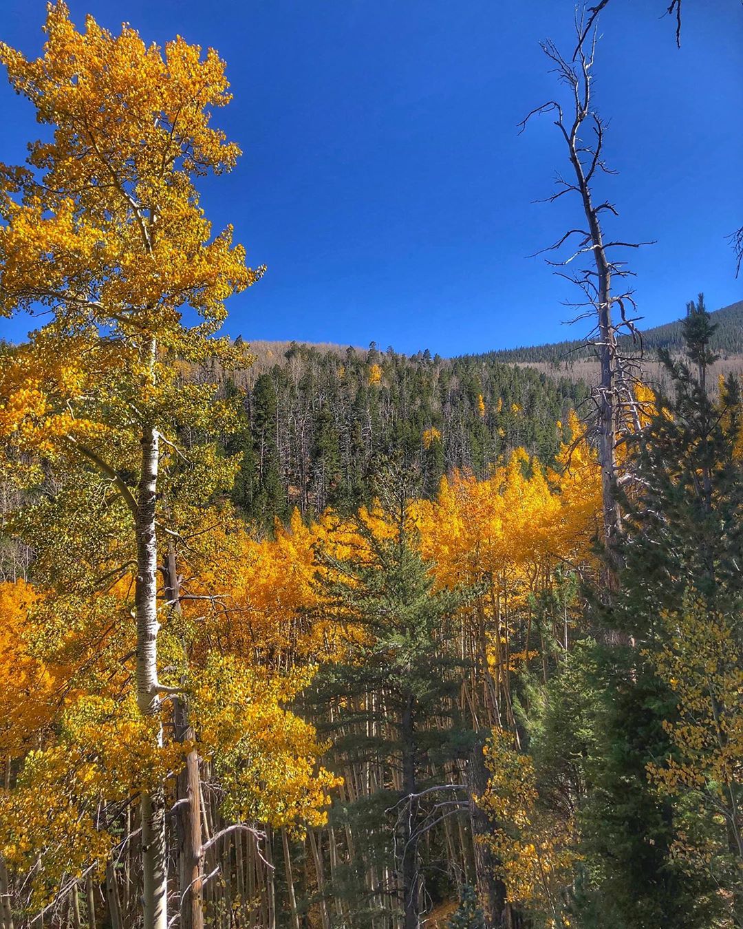 Abineau - Bear Jaw Trail autumn hikes in Arizona
