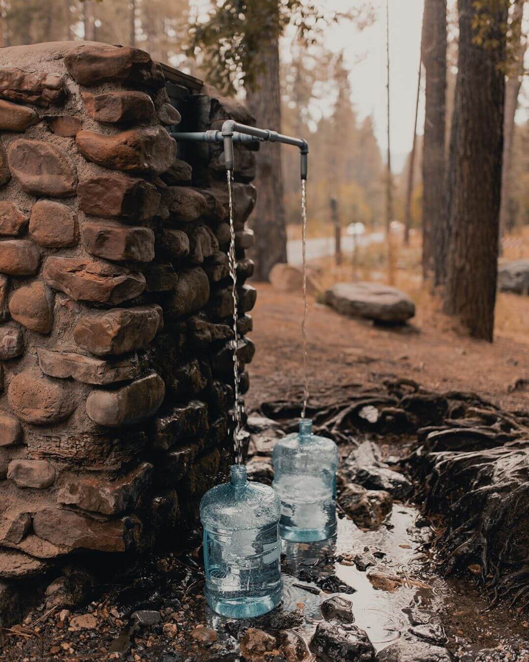 Harding Spring fresh water underrated spots in Arizona