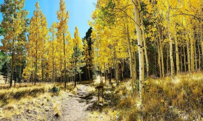 Kachina Trail autumn hikes in arizona