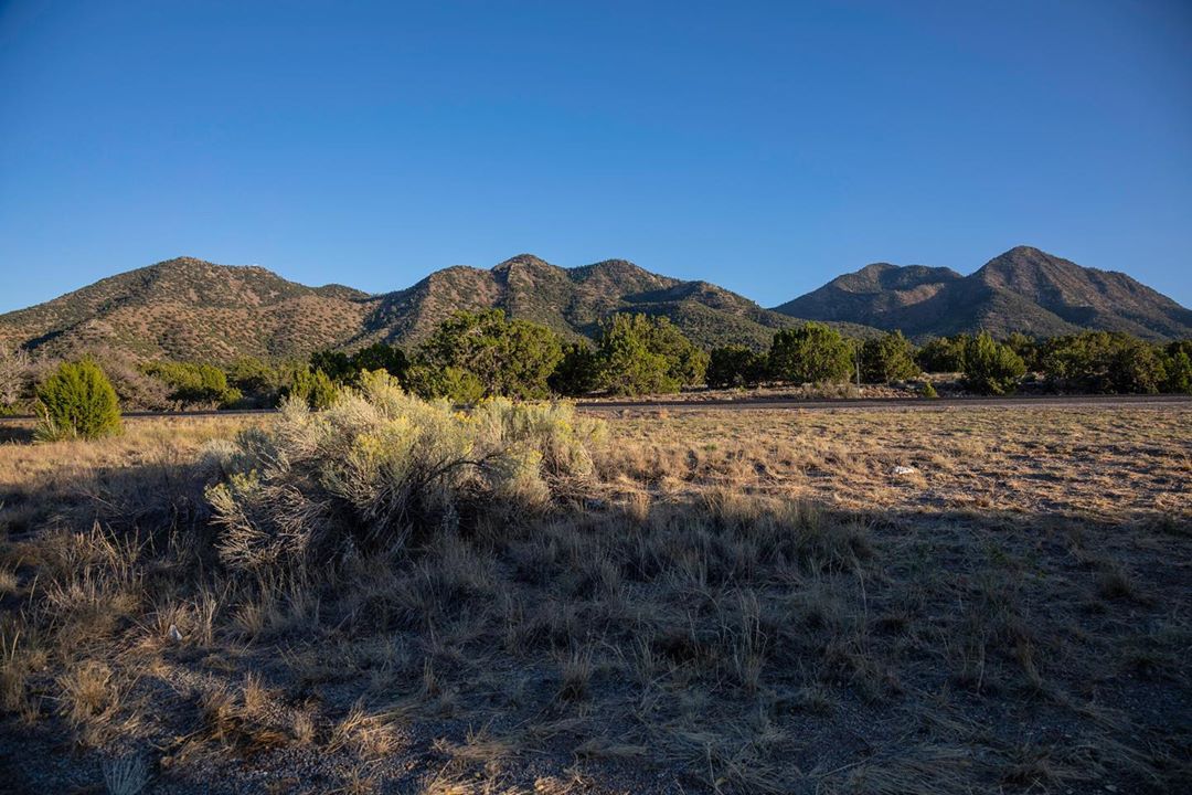 Golden New Mexico landscape 